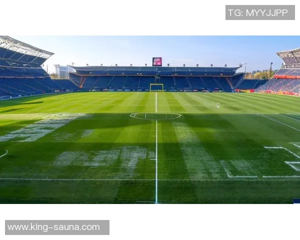 球星卡点燃绿茵梦想收藏足球激情开启新篇章 球星卡点燃绿茵梦想收藏足球激情开启新篇章